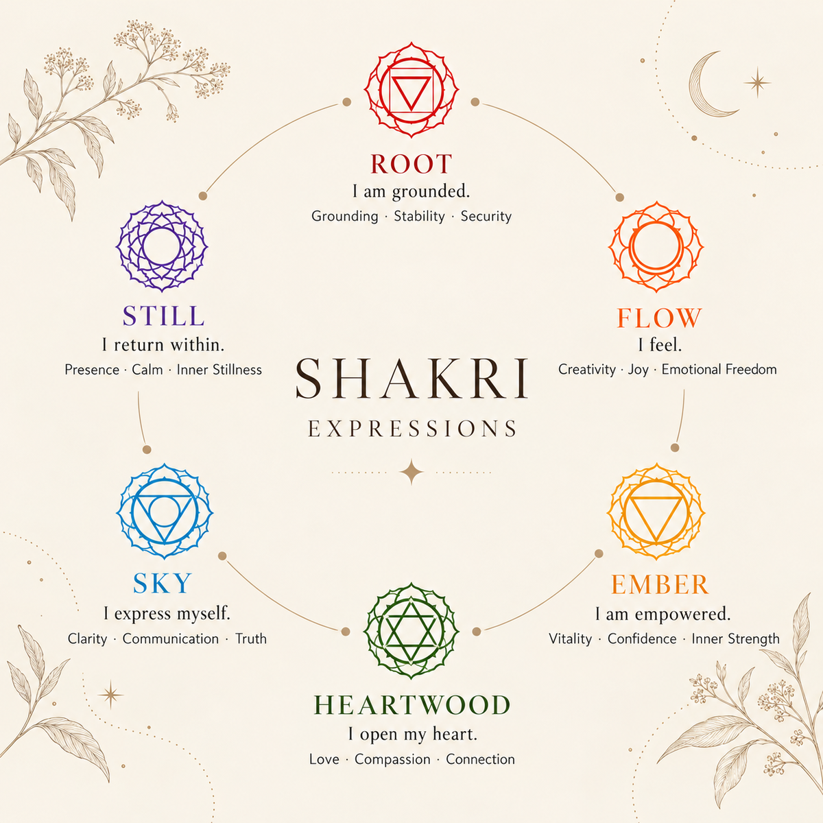 SHAKRI Six Expressions Infografik